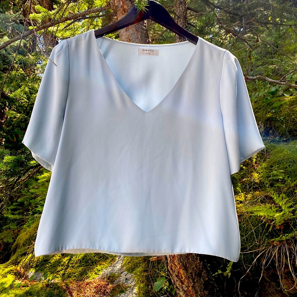 Aritzia Babaton Light Blue V Neck Top